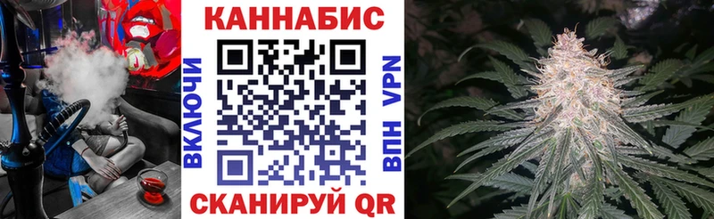 Канабис сатива  как найти наркотики  ссылка на мегу   Отрадное 